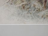 a picture of a painting of a bear in the woods