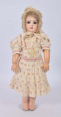 an old fashioned doll with a bonnet and dress on a white background