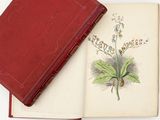 a red book with a picture of a plant on it