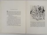 an open book with a drawing of a man and a woman