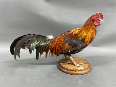 a statue of a rooster standing on a wooden base