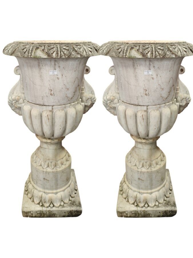 Objets d'art & Curiosités