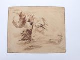 drawing of a sheep ' s head in a brown frame on a white wall
