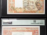 Quatre types différents de billets de banque sont exposés dans une vitrine.