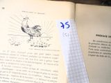 un livre ouvert sur lequel est dessiné un coq