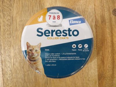 une image représentant un bouton orné d'un chat