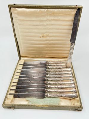 silverware in a case with a knife and other knives in it