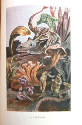 un livre ouvert sur lequel figure l'image d'un poisson et d'autres animaux