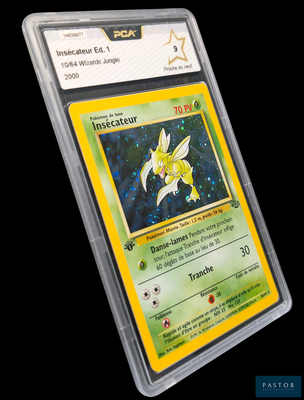 une image d'une carte Pokémon dans un étui en plastique