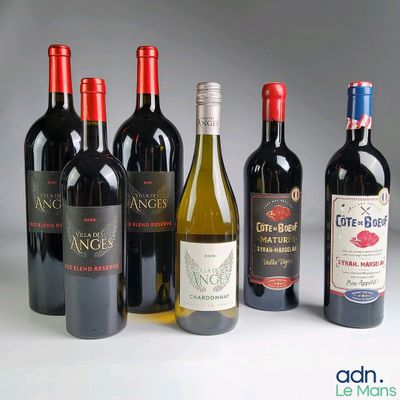 Plusieurs bouteilles de vin rouge et de vin blanc sont alignées en rangée
