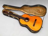 an image of a guitar in a case on a white surface