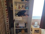 une salle de bains équipée de toilettes, d'un lavabo et d'une douche