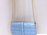 the small blue purse is hanging on a gold chain