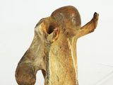 a figurine of a horse on a white surface