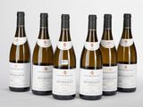 six bouteilles de vin sont alignées sur une surface blanche