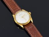 a gold plated wrist watch with a brown leather strap