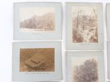 six antique photographs of trees and a river in a wooded area