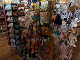 de nombreuses peluches exposées dans le magasin