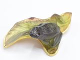 a leaf shaped brooch with a frog on it ' s back