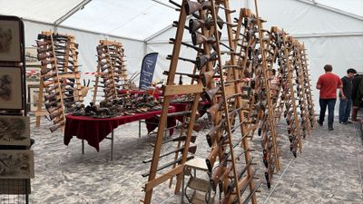 de nombreuses échelles en bois exposées sous un chapiteau