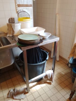 un chien allongé par terre dans la cuisine