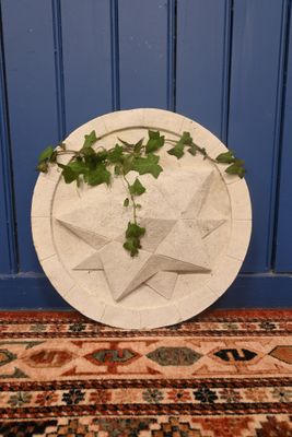 une assiette blanche d'où pousse une plante, posée sur un tapis
