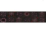 a close up of a black and pink wallpaper with flowers on it