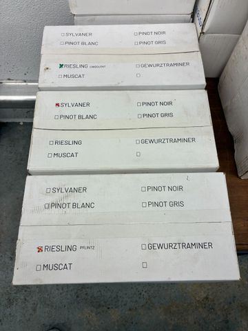 Domaine WASSLER grand vin d’Alsace :  6 Riesling Pflintz., 6 Sylv