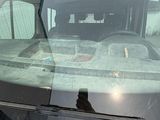 a cat sitting in the back seat of a car