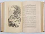 an open book with a picture of a bird on it