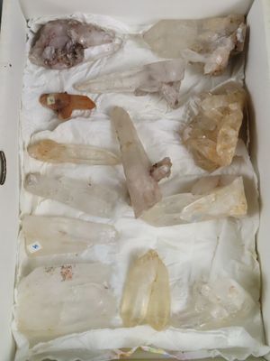 une boîte contenant toutes sortes de pierres et de cristaux