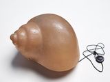 a plastic shell with a wire attached to it