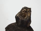a piece of wood that has been burnt and is sitting on the ground