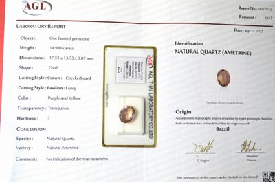 une photo d'un certificat sur lequel figure l'image d'une pièce de monnaie
