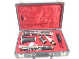 a black case with a silver and black clarinet in it
