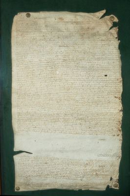 an old piece of paper with torn edges on a green surface