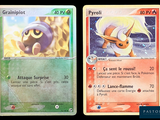 deux cartes Pokémon présentant des motifs différents sur un fond noir