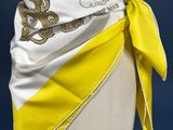 an image of a mannequin torso with a yellow and white scarf around it