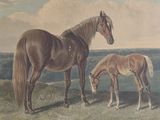 painting of a mare and foal in a field with a cloudy sky