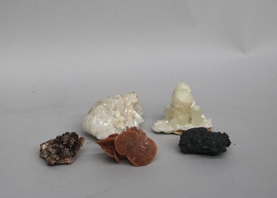 cinq types de roches différents sur une surface blanche