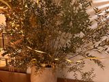 a vase with a plant in it sitting on a bench