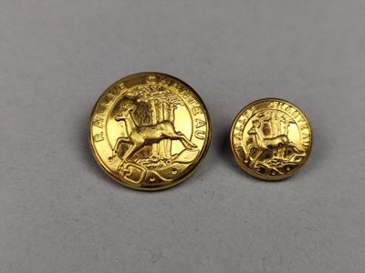 a close up of two gold coins on a white surface