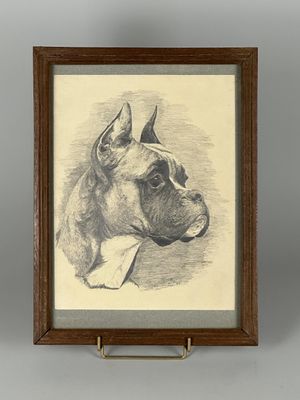 an old drawing of a boxer dog in a wooden frame