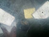 a blurry image of a person holding a cell phone