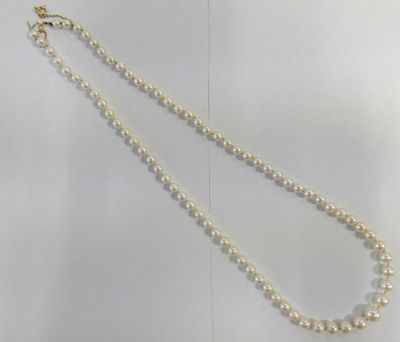 collier avec des perles et un fermoir en or sur fond blanc