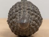 a close up of a metal object on a table