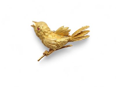 an image of a gold bird broochle on a white background