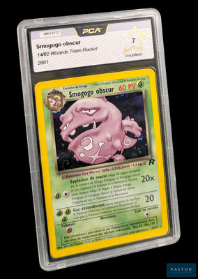 La carte Pokémon se trouve dans un étui en plastique transparent sur fond noir.