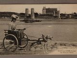 une vieille photo d'une femme et de son chien dans une calèche