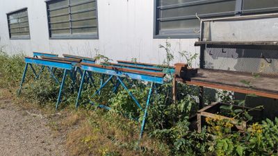 des mauvaises herbes poussant devant un immeuble situé au bord d'une route